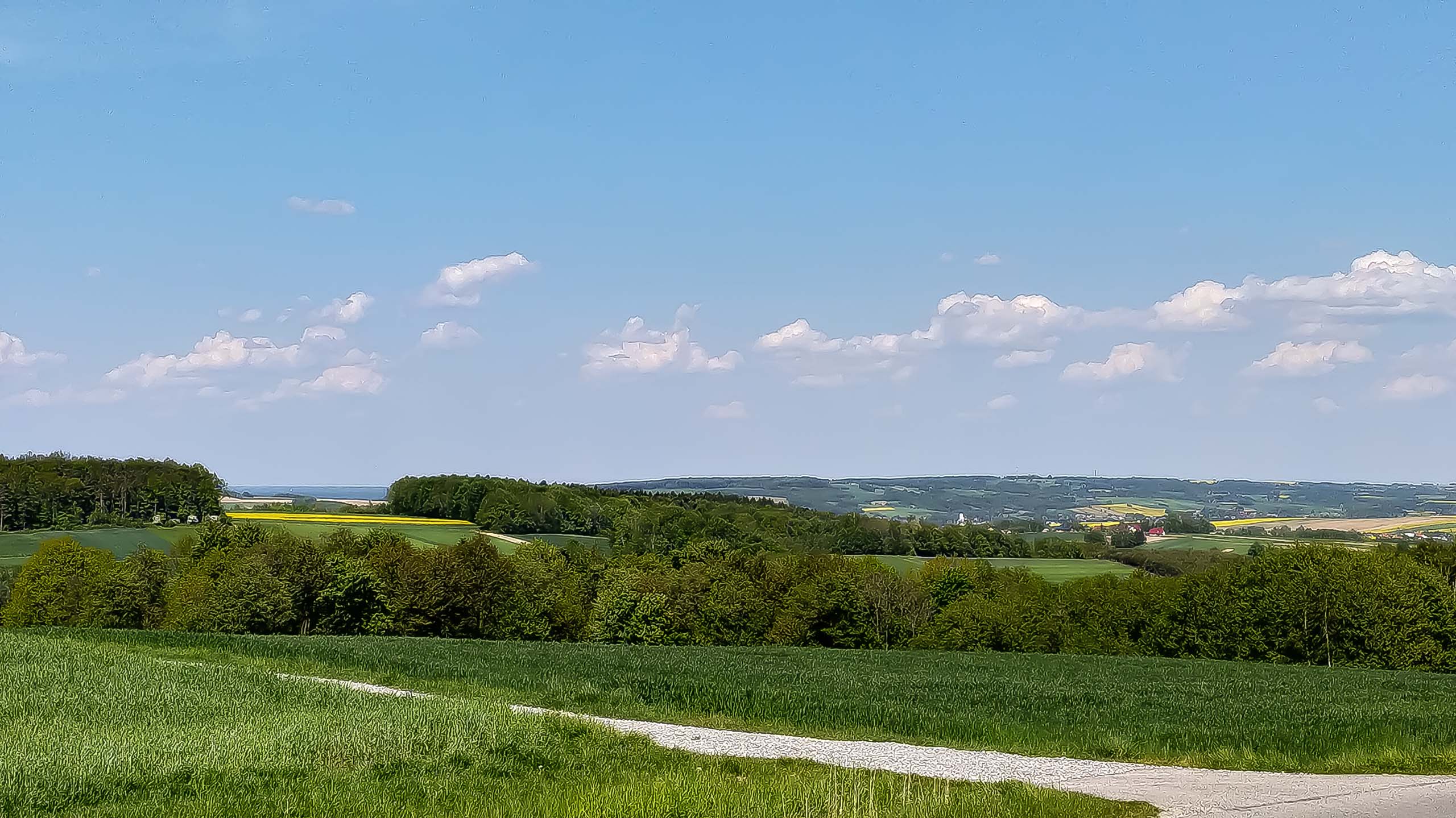 IMG 20200510 141657 kopia